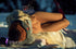 166C Premium S-tpe Sex Doll | Jeannie 266