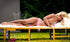 166C Premium S-tpe Sex Doll | Gladys 336